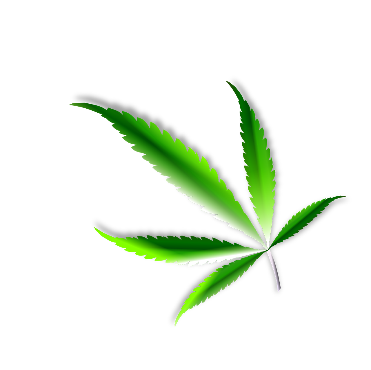 leaf, marijuana, weed-1300206.jpg