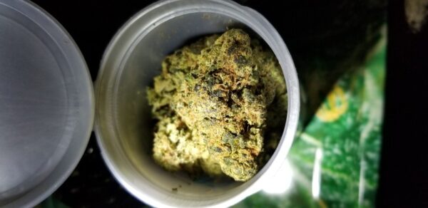 Buy Death Star Cannabis Strain 19% THC