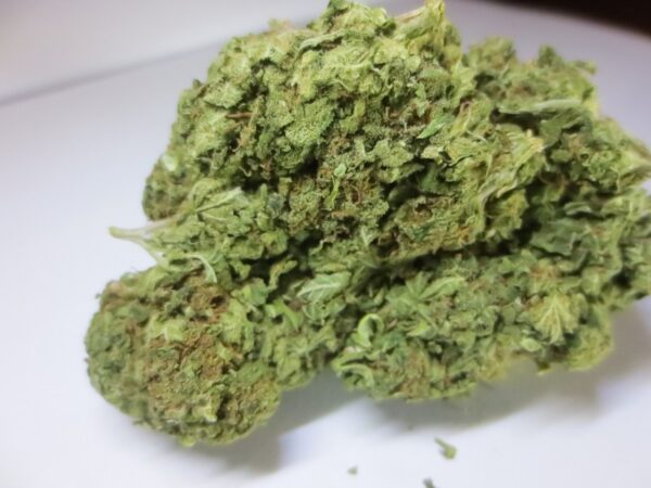 Buy Bruce Banner Cannabis Strain 21% THC