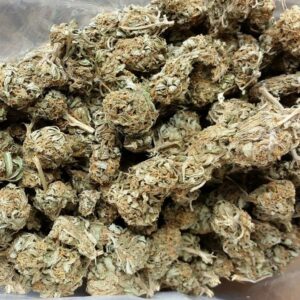 Buy Critical Kush Cannabis Strain 24% THC